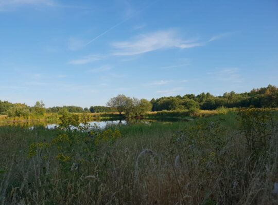 Ik had niet gedacht dat het na een paar keer al voldoende zou zijn. - Catherine
