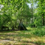 Family Survival (VOL)