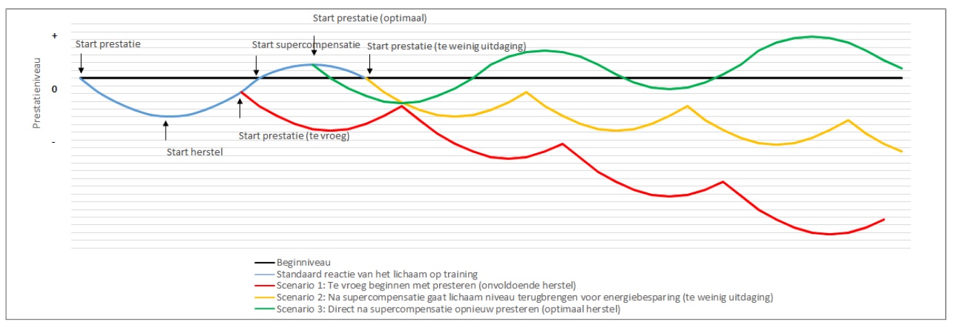 Supercompensatie - Beter presteren doe je zo - Blog - Heidi van Kampen - Meant4Life