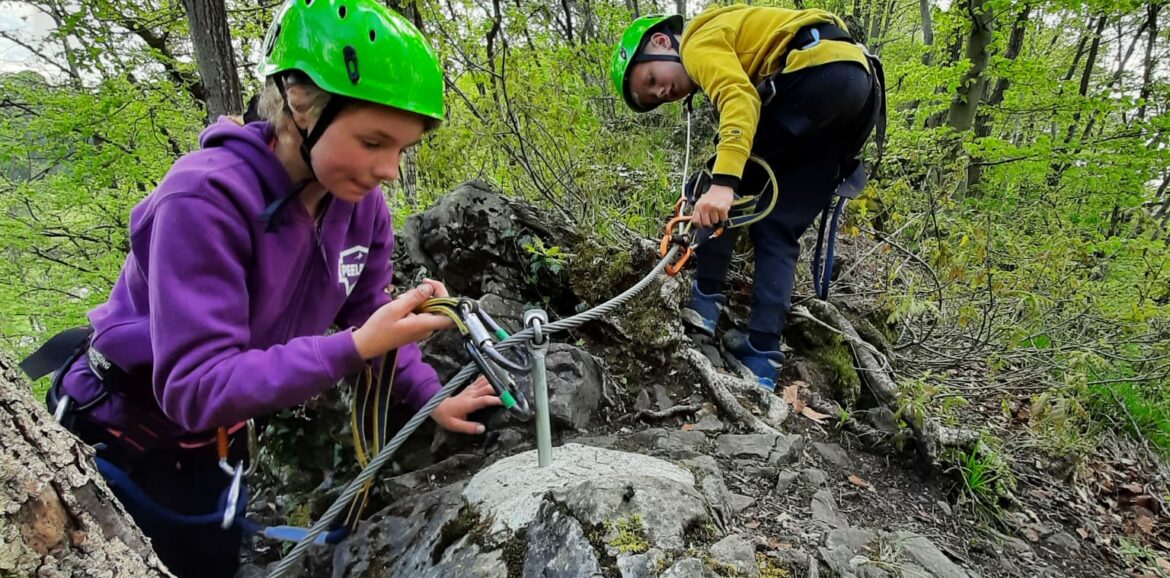 Family Survival - Ervaring - van der Heijden