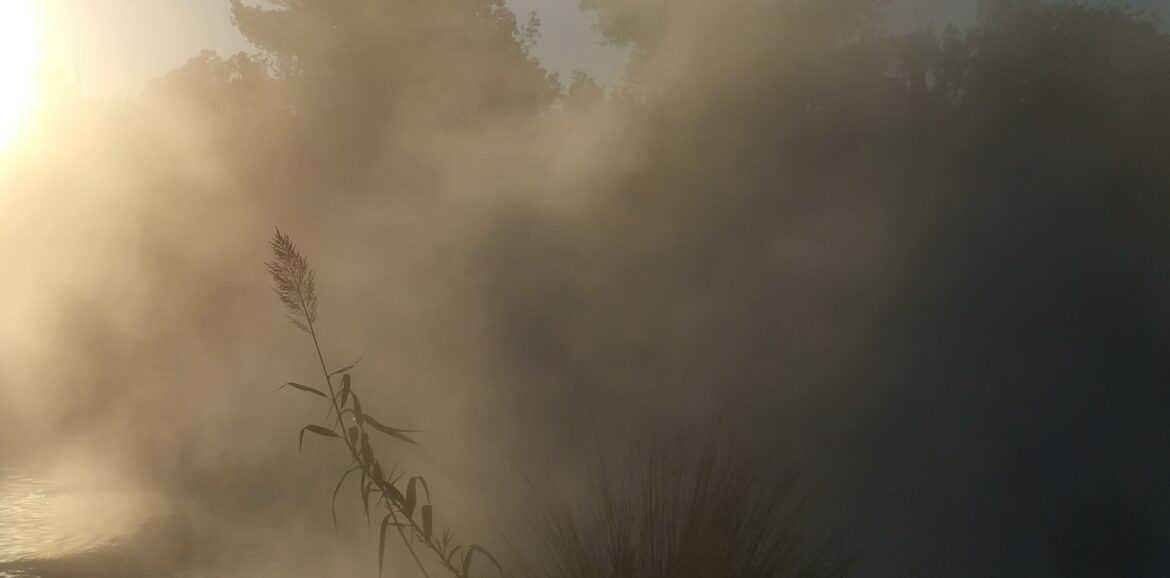 Blog van Heidi van Kampen - Het effect van vooroordelen op een droomleven
