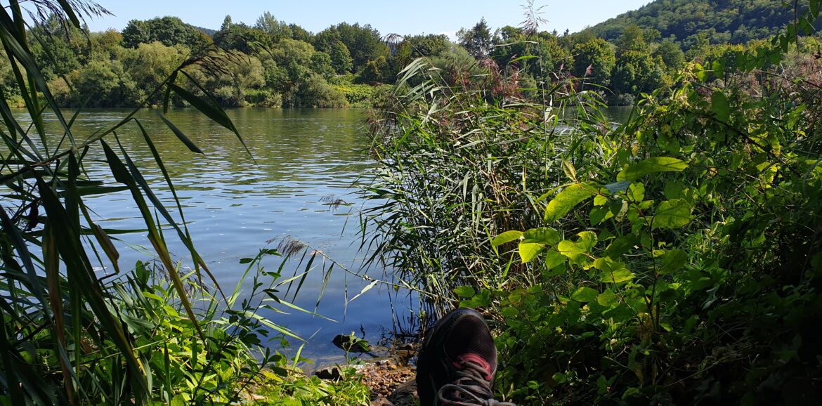 Blog over je eigen weg kiezen in het leven - Heidi van Kampen - Meant4Life