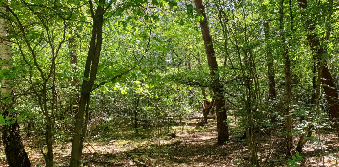 Ervaring Maureen Workshop Outside the Boks Meant4Life Outdoor coaching Bokscoaching