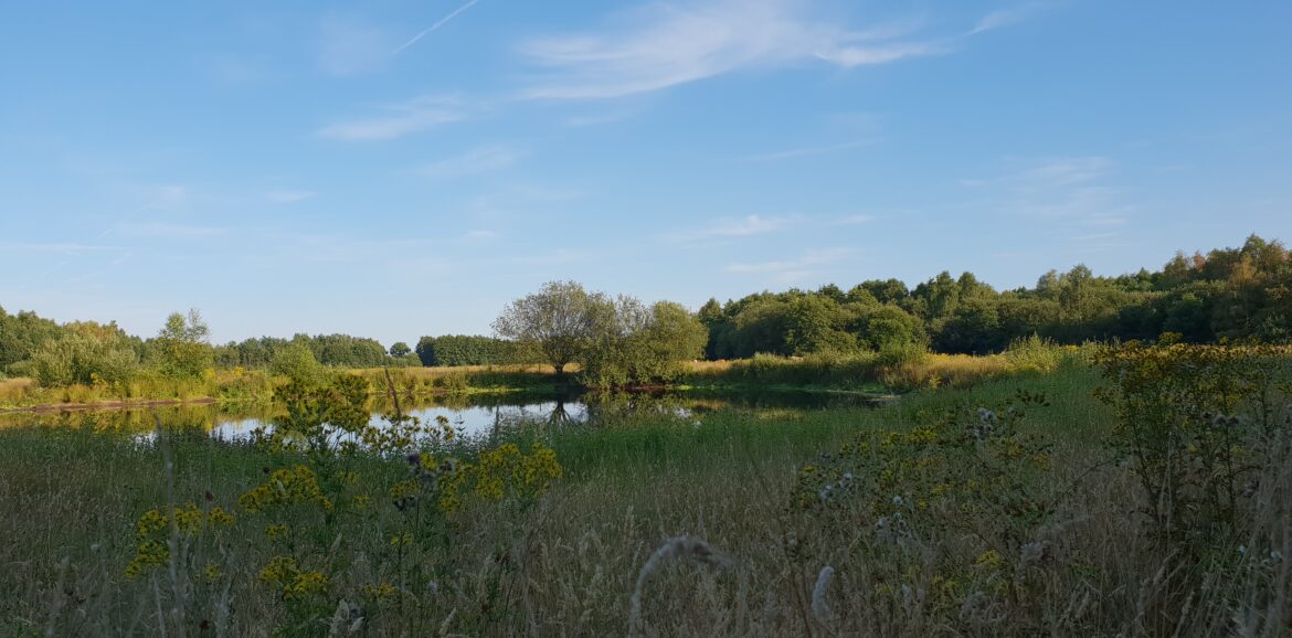 Meant4Life - outdoor coaching - bokscoaching - 1-op-1 coaching - ervaring - persoonlijke ontwikkeling - Maartje