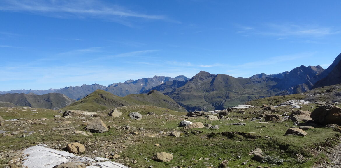 Meant4Life - outdoor coaching - individuele coaching - ervaring - Anneloes - persoonlijke ontwikkeling - leiderschap