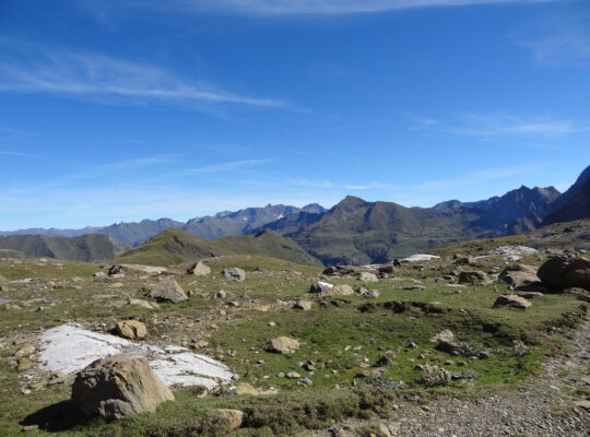 Meant4Life - outdoor coaching - individuele coaching - ervaring - Anneloes - persoonlijke ontwikkeling - leiderschap