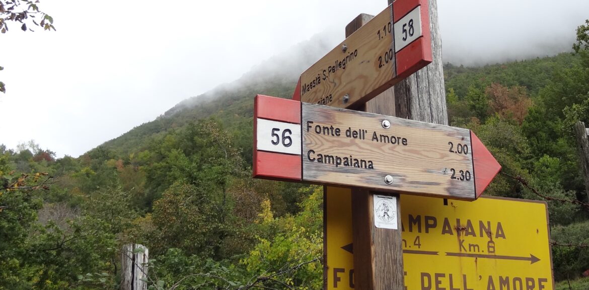 Blog over moeten, willen, kunnen, keuzes maken en doen door Heidi van Kampen